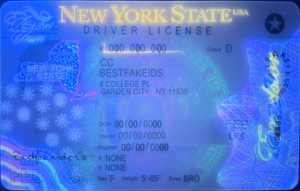 nyc02